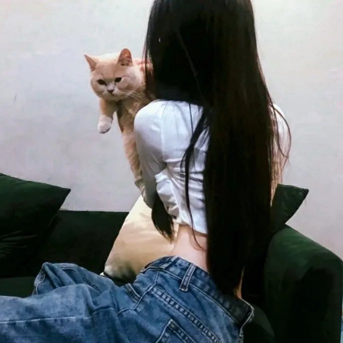 白宫隐秘