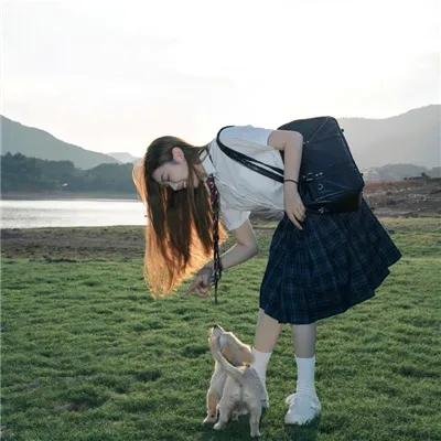 圆梦公司